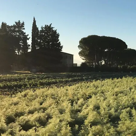 La Casa Rossa Lantställe Bibbona